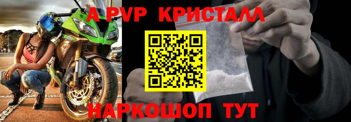Гусиноозёрск  Alpha PVP  Вход с VPN  Alfa_PVP СК КРИС 