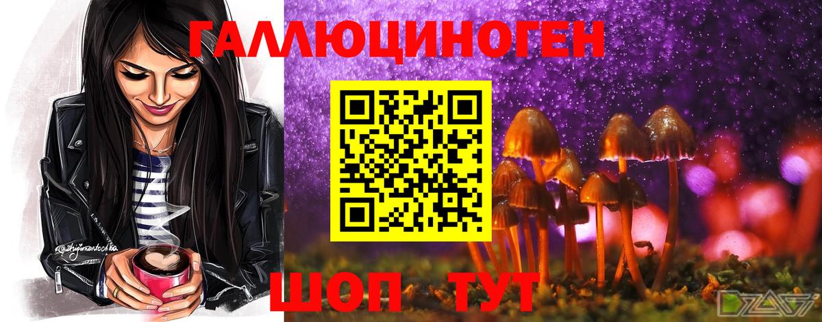 Галлюциногенные грибы Cubensis Гусиноозёрск