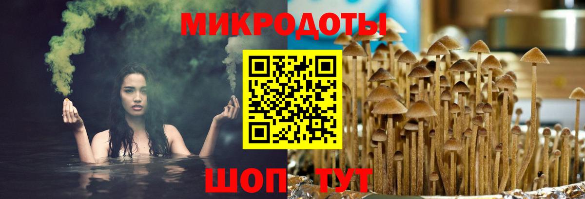 Гусиноозёрск  Галлюциногенные грибы прущие грибы  Вход с VPN 